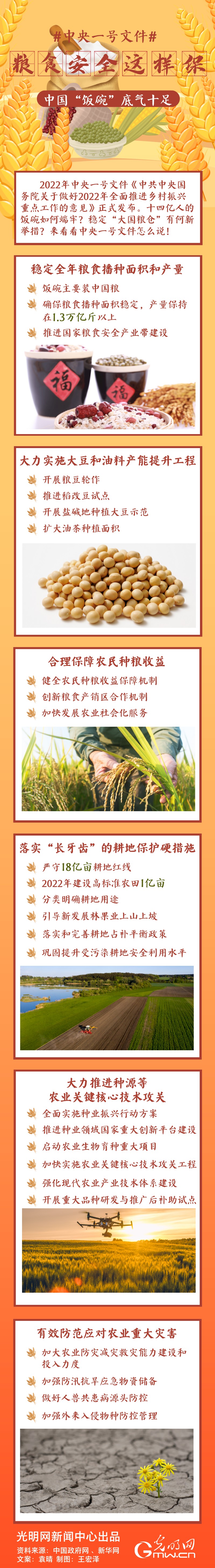 中央一號文件｜糧食安全這樣保，中國“飯碗”底氣十足