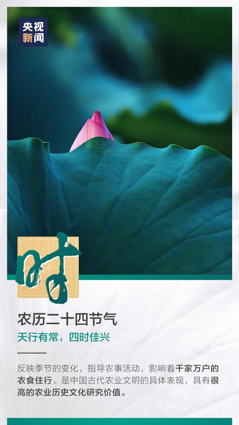 這也太浪漫了吧！