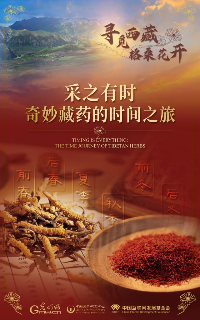 【尋覓西藏·格?；ㄩ_】采之有時(shí)：奇妙藏藥的時(shí)間之旅