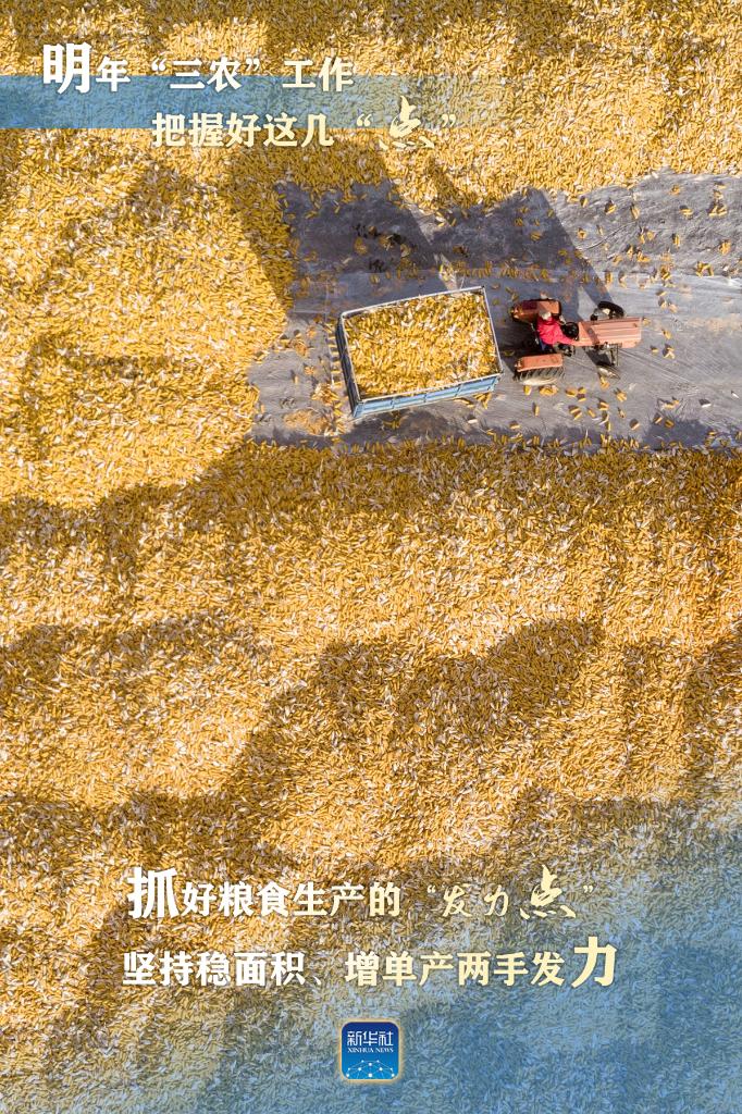 明年“三農(nóng)”工作，這幾個(gè)“點(diǎn)”要把握好