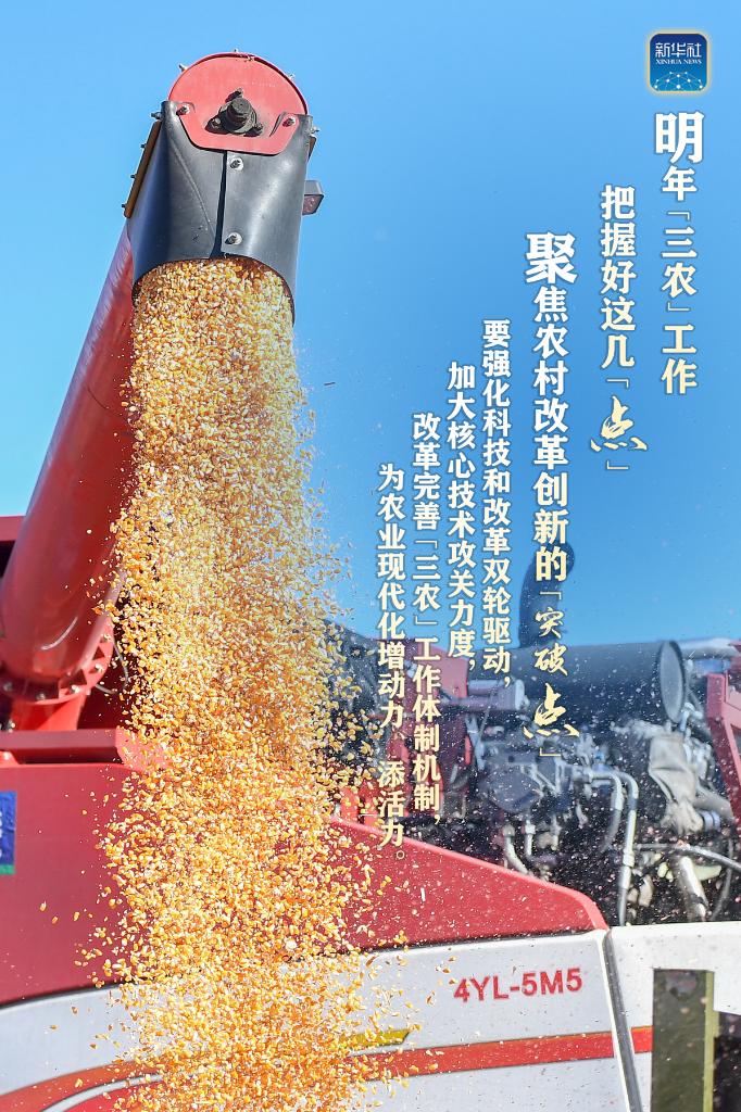 明年“三農(nóng)”工作，這幾個(gè)“點(diǎn)”要把握好