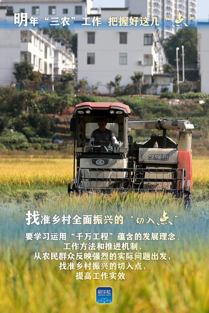 明年“三農(nóng)”工作，這幾個(gè)“點(diǎn)”要把握好