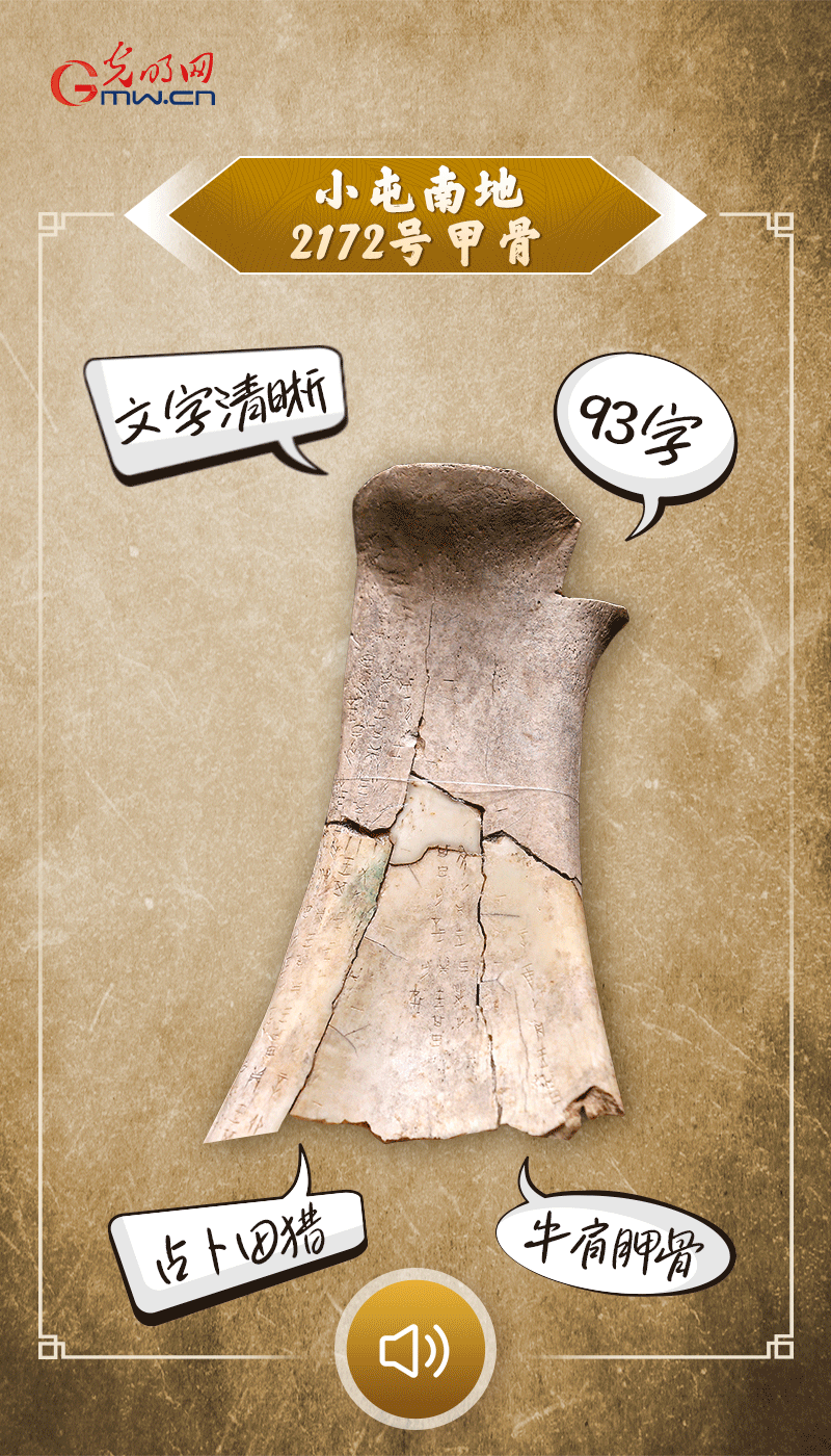 文物會說話 | 殷墟博物館新館開館啦，帶你奔赴“千年之約”