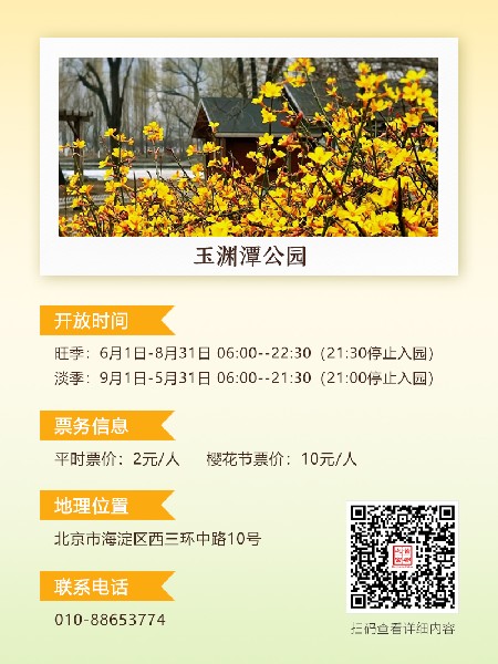 追花指南第二期！京城三月里最撩人的玉蘭觀賞地