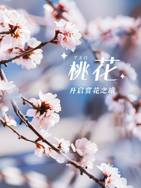 追花指南第三期！別等了 今天就去和桃花撞個滿懷