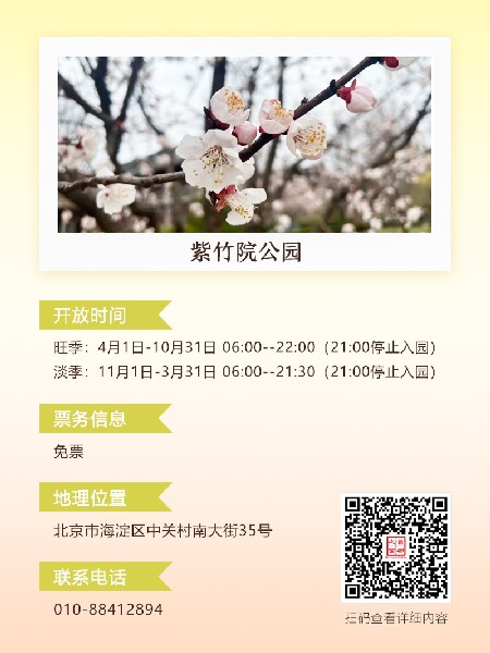 追花指南第六期！杏花雨 楊柳風(fēng) 北京最美的杏花在這里