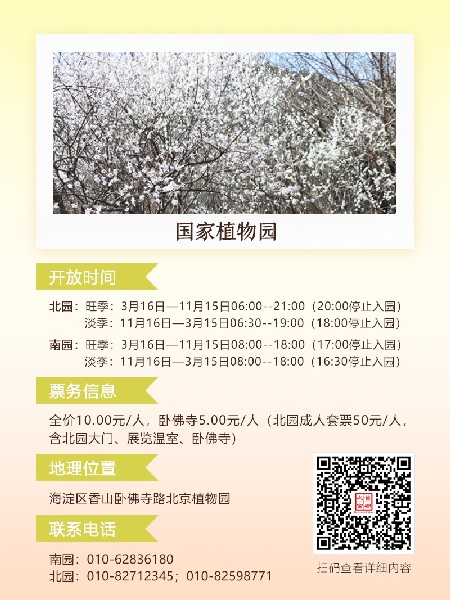 追花指南第六期！杏花雨 楊柳風(fēng) 北京最美的杏花在這里