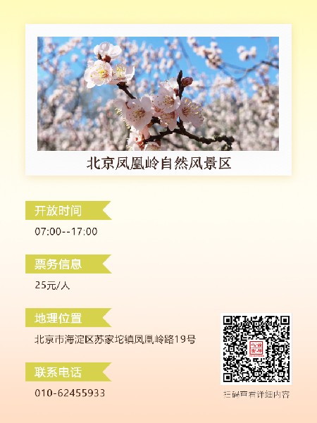 追花指南第六期！杏花雨 楊柳風(fēng) 北京最美的杏花在這里