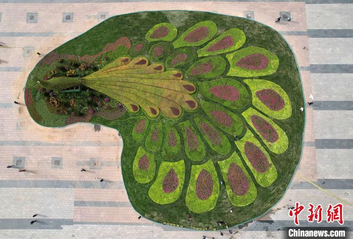 圖為航拍花壇。(無人機照片) 翟羽佳 攝