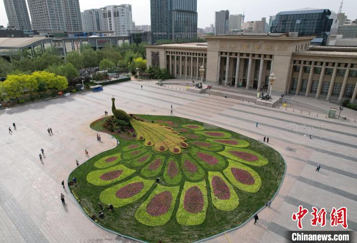 圖為航拍花壇。(無人機照片) 翟羽佳 攝