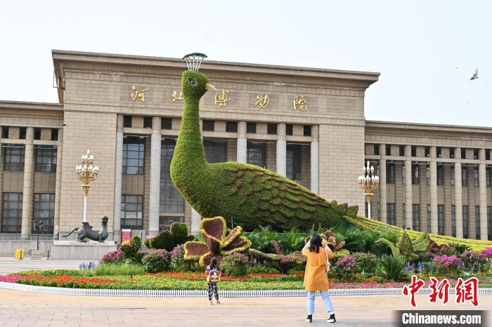 圖為游客在花壇前拍照打卡?！〉杂鸺?攝