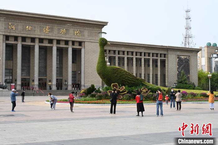 圖為游客在花壇前拍照打卡?！〉杂鸺?攝