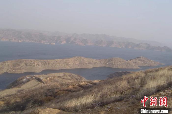 圖為生態(tài)園區(qū)域原貌?！●T華 攝