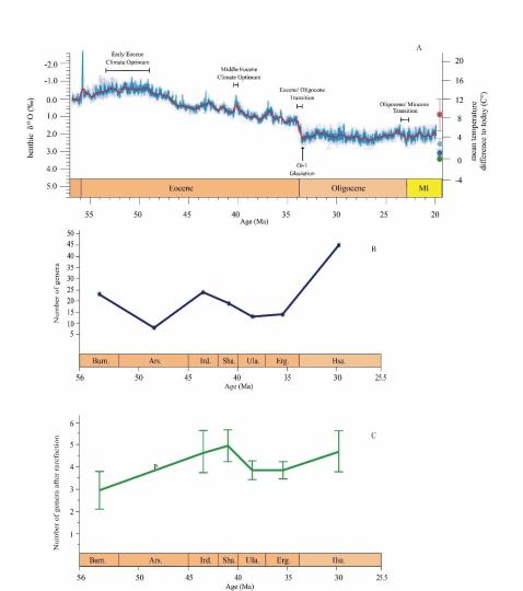 早始新世至早漸新世東亞嚙齒類屬級多樣性變化?！≈锌圃汗偶棺邓?供圖