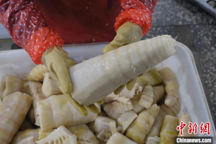 圖為整根腌制后撈出的酸筍?！⒖÷?攝