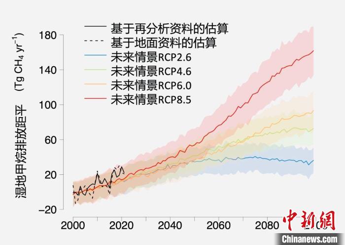 基于觀測的濕地甲烷排放變化與未來氣候變化情景下估算的對比?！≈锌圃呵嗖馗咴?供圖