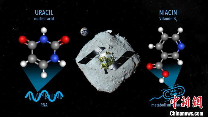 國(guó)際最新研究稱，近地小行星“龍宮”上發(fā)現(xiàn)尿嘧啶等核酸堿基