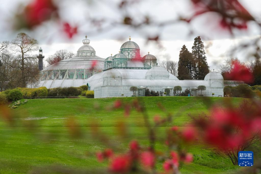 這是4月14日在比利時(shí)布魯塞爾拍攝的拉肯宮王家溫室花園。新華社記者 鄭煥松 攝