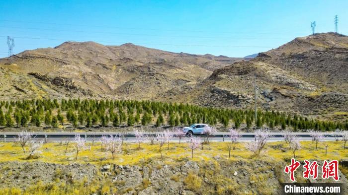 生態(tài)修復(fù)后逐漸變綠的賀蘭山石嘴山段。　石嘴山市委宣傳部供圖