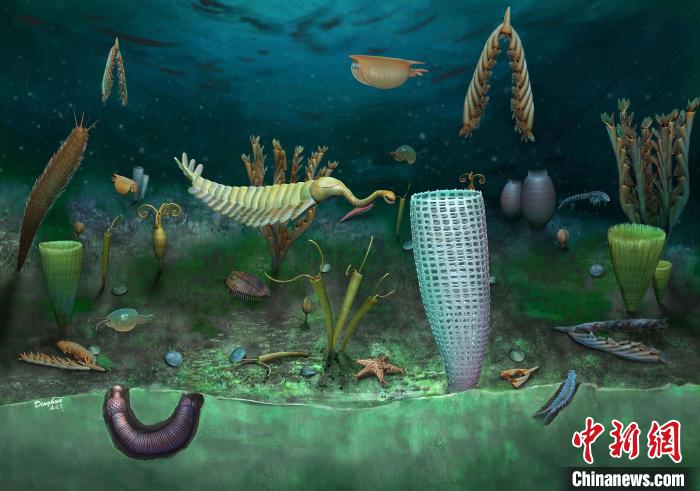 Castle Bank動物群藝術(shù)復(fù)原圖(Yang Dinghua繪制)。　施普林格·自然 供圖