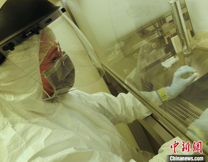 Elena Essel在凈室中處理鹿牙墜飾(圖片來自馬克斯·普朗克演化人類學(xué)研究所)?！∈┢樟指瘛ぷ匀?供圖