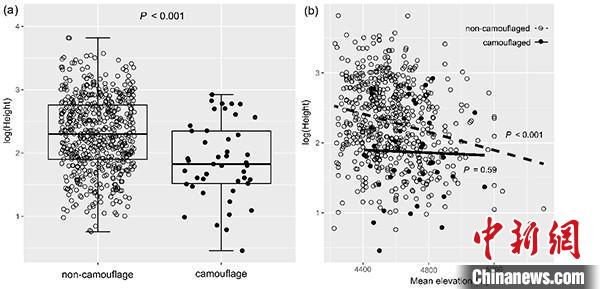 圖為研究成果?！≈袊茖W院昆明植物研究所供圖