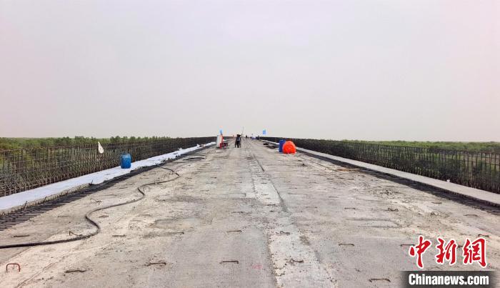 工作人員正在橋面上緊張有序地施工?！∈酚窠?攝