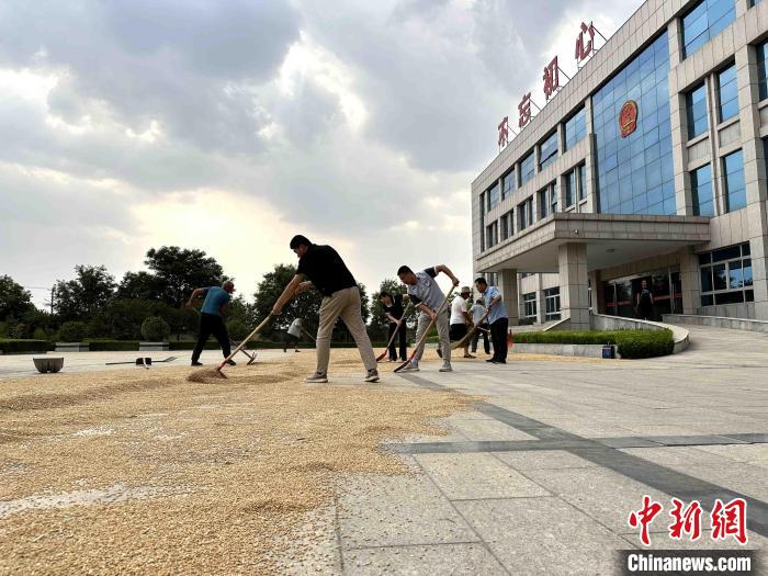 平原縣組織志愿者幫助農(nóng)民晾曬小麥?！垈?攝