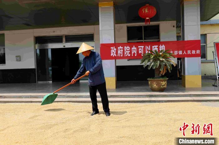 村民在棗莊市嶧城區(qū)古邵鎮(zhèn)政府大院內(nèi)晾曬糧食?！『?　攝