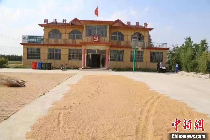 農(nóng)民在邳莊鎮(zhèn)尚莊村黨群服務(wù)中心大院里曬糧?！≠Z萌 攝