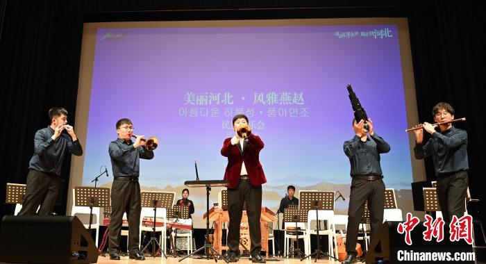 圖為音樂會現(xiàn)場?！∈谞栔袊幕行墓﹫D