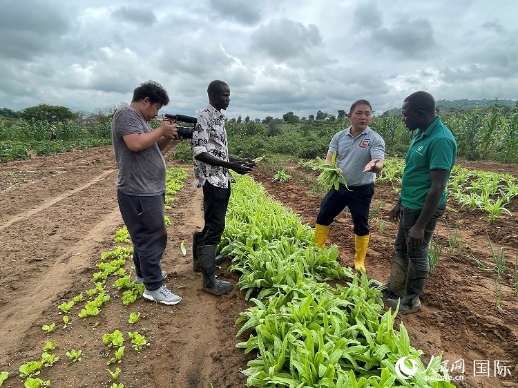 人民網(wǎng)記者走進(jìn)尼日利亞農(nóng)業(yè)技術(shù)示范中心。人民網(wǎng)記者 趙艷紅攝