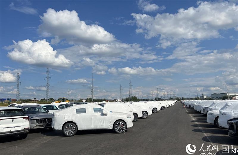 莫斯科別雷拉斯特物流中心內(nèi)的中國品牌汽車。人民網(wǎng)記者 申佳平攝