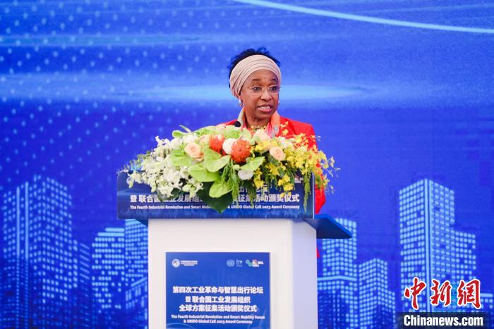 聯(lián)合國工業(yè)發(fā)展組織總干事代表兼執(zhí)行干事法圖 海達拉致辭。