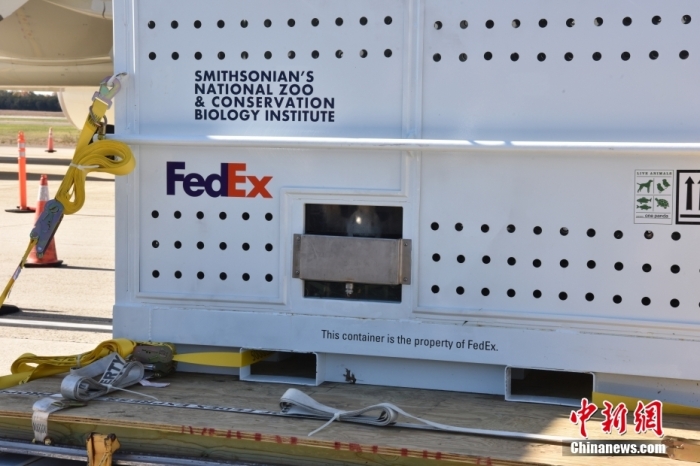 當(dāng)?shù)貢r(shí)間11月8日，美國(guó)華盛頓史密森學(xué)會(huì)國(guó)家動(dòng)物園的大熊貓“美香”“添添”和它們的幼崽“小奇跡”乘坐的專機(jī)從華盛頓杜勒斯國(guó)際機(jī)場(chǎng)起飛前往中國(guó)成都。圖為裝有大熊貓的特制“旅行箱”。<a target='_blank' href='/'><p  align=
