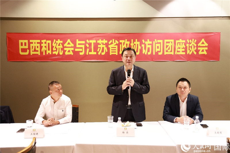 江蘇省政協(xié)副主席楊岳（中）在座談會上致辭。人民網(wǎng)記者 陳海琪攝