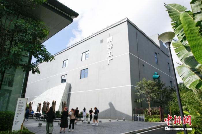 圖為采訪團(tuán)一行參觀咖啡工廠。 曹淼欣 攝