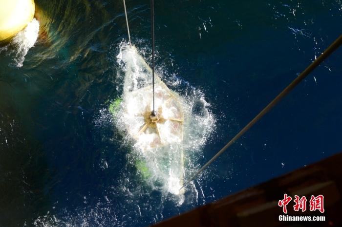 機(jī)器人入水瞬間。<a target='_blank' href='/' _fcksavedurl='/' ><p  align=