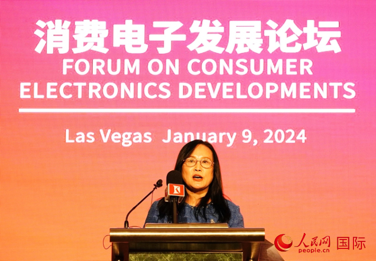 中國機(jī)電產(chǎn)品進(jìn)出口商會副會長劉春致辭。人民網(wǎng)記者 鄧圩攝