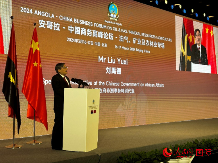 中國(guó)政府非洲事務(wù)特別代表劉禹錫。人民網(wǎng)記者 張榮攝