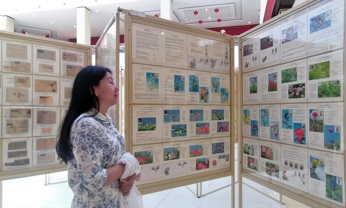 藥用植物極限片展覽場景。第七屆阿聯(lián)酋集郵展主辦方供圖