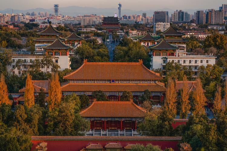 時(shí)政微觀察|立德樓里話“立德”