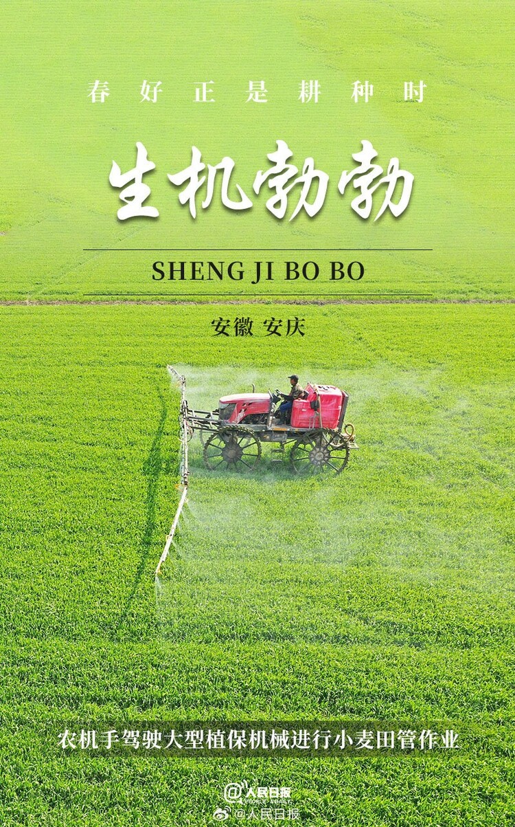 生機(jī)盎然！用課本封面打開春耕畫卷