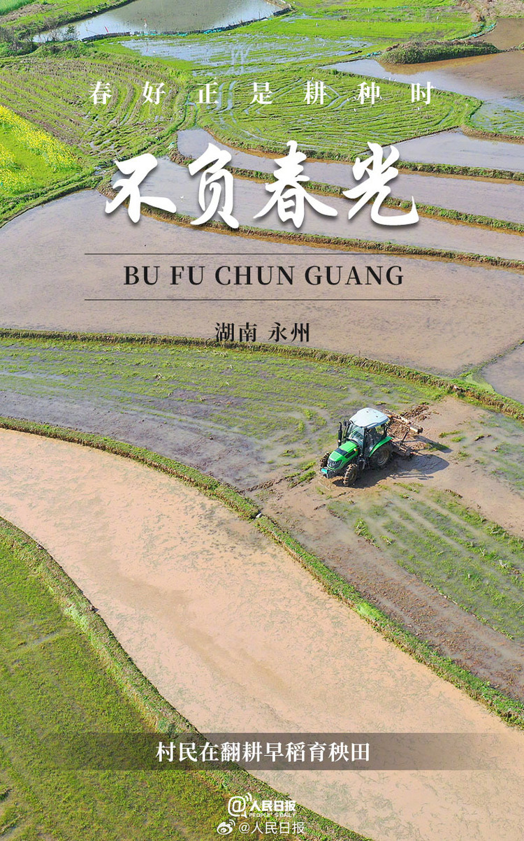 生機(jī)盎然！用課本封面打開春耕畫卷