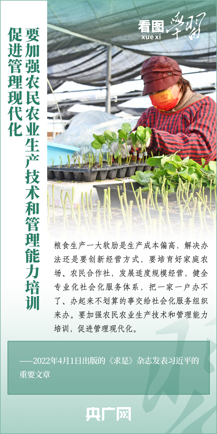 看圖學(xué)習(xí)丨推廣良田、良種、良法、良機(jī) 給農(nóng)業(yè)現(xiàn)代化插上科技的翅膀