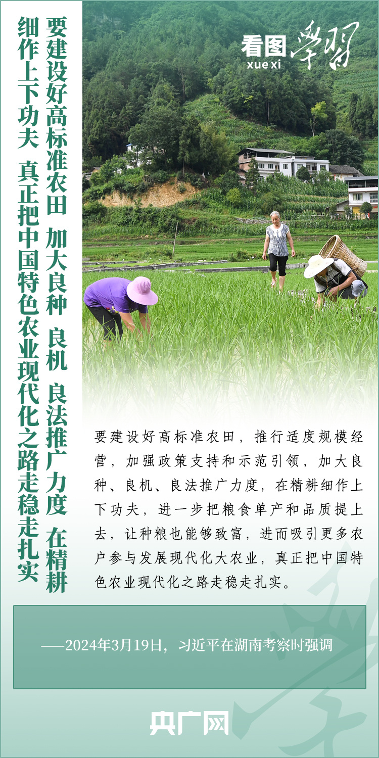 看圖學(xué)習(xí)丨推廣良田、良種、良法、良機(jī) 給農(nóng)業(yè)現(xiàn)代化插上科技的翅膀