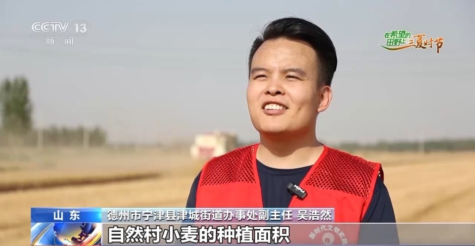 “三夏”生產(chǎn)思維導圖安排上了！還有政府大院等你來“曬”