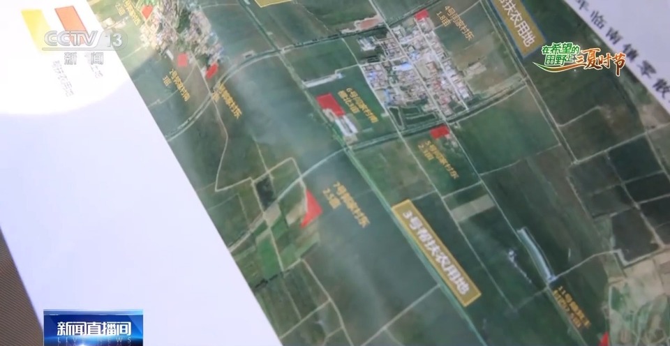 “三夏”生產(chǎn)思維導圖安排上了！還有政府大院等你來“曬”