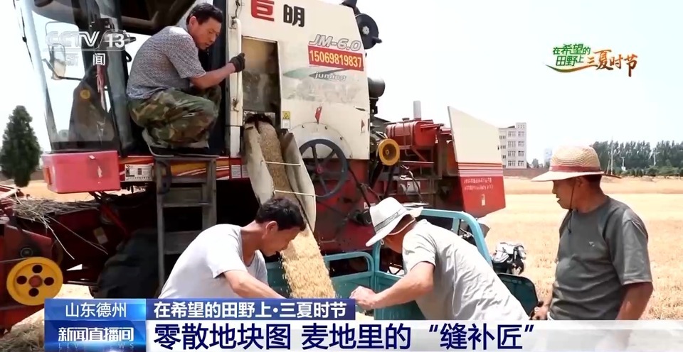 “三夏”生產(chǎn)思維導圖安排上了！還有政府大院等你來“曬”