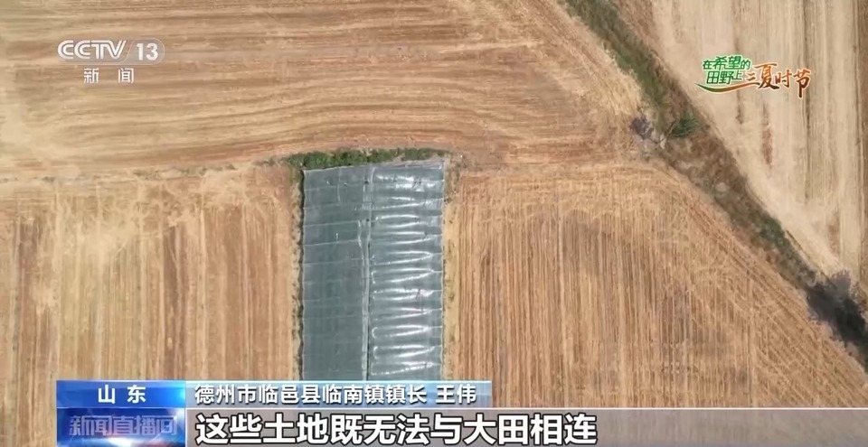 “三夏”生產(chǎn)思維導圖安排上了！還有政府大院等你來“曬”